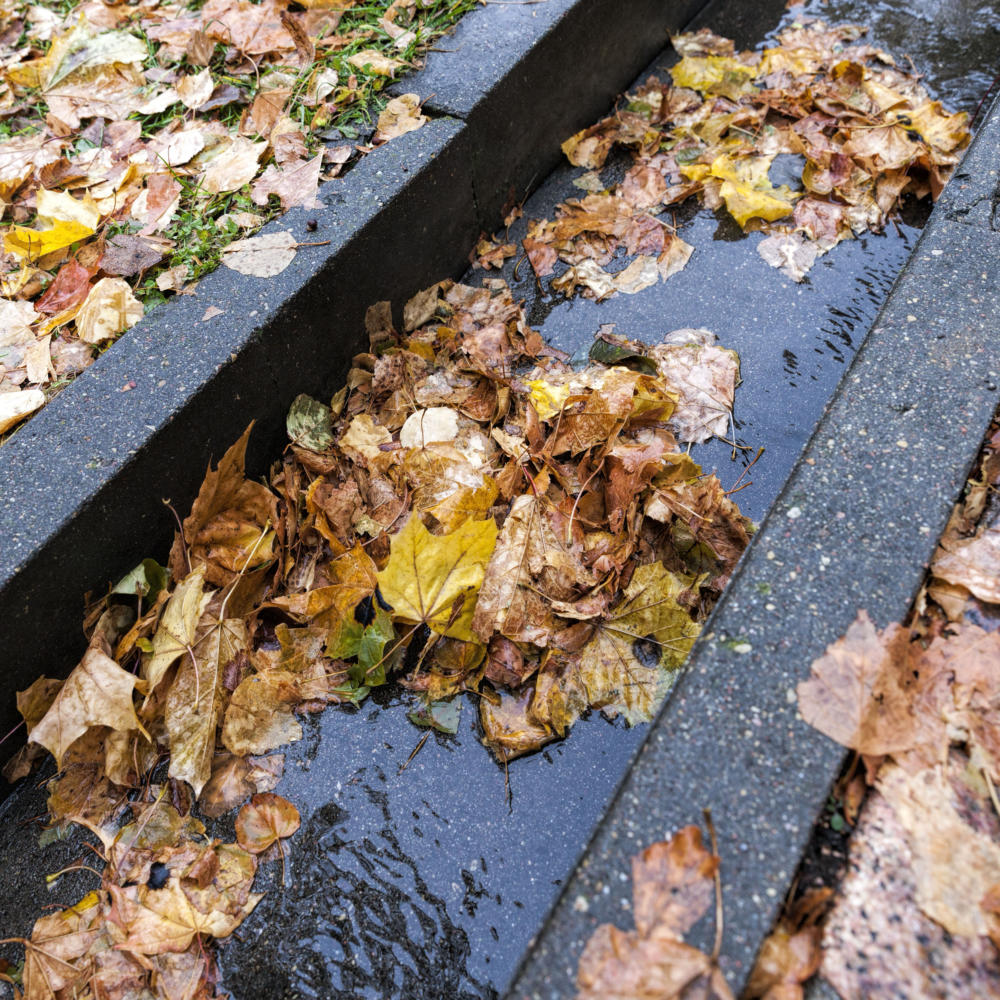 Stormwater drainage plumber Geelong